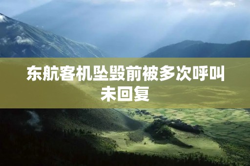 东航客机坠毁前被多次呼叫未回复 东航客机坠毁前被多次呼叫未回复