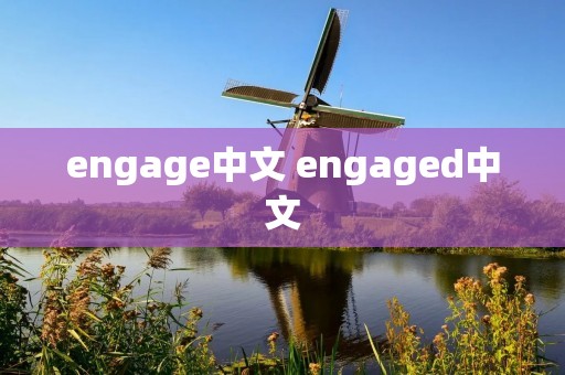 engage中文 engaged中文