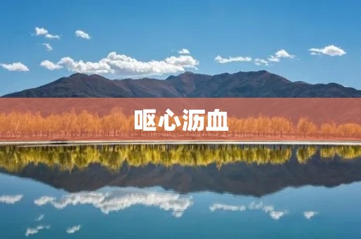 呕心沥血:对事业、工作或创作等付出巨大努力的意思
