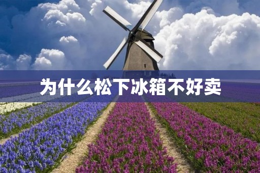 为什么松下冰箱不好卖 为什么松下冰箱不好卖