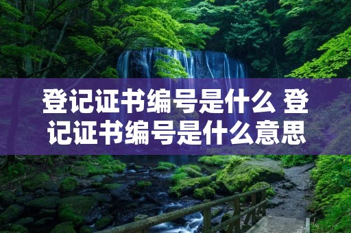 登记证书编号是什么 登记证书编号是什么意思怎么填 登记证书编号是什么 登记证书编号是什么意思怎么填