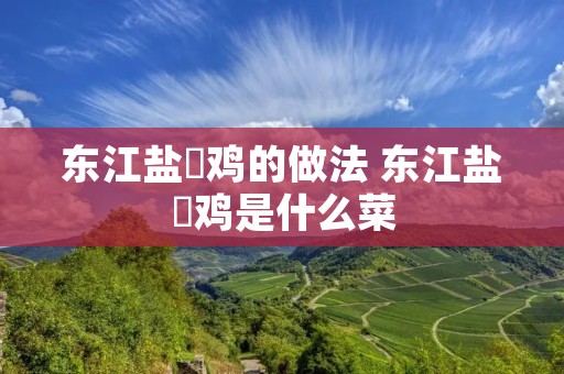 东江盐焗鸡的做法 东江盐焗鸡是什么菜