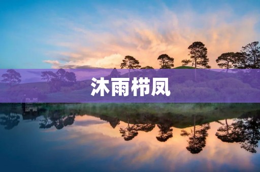 沐雨栉凤:传统文化与现代社会的交融