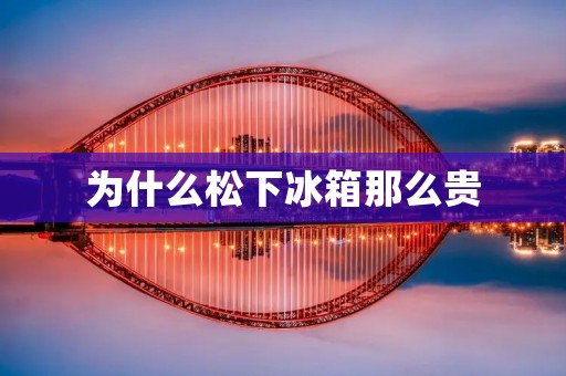 为什么松下冰箱那么贵 为什么松下冰箱那么贵