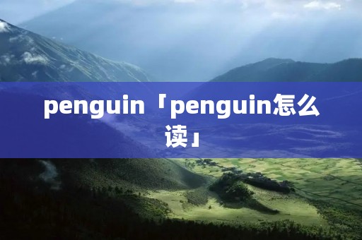 penguin「penguin怎么读」