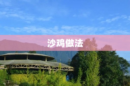 沙鸡做法：美味可口的家常美食
