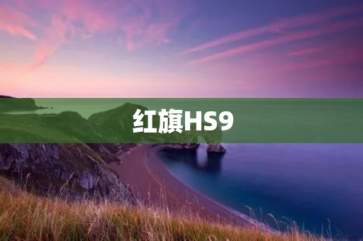 红旗HS9：豪华SUV的全新标杆