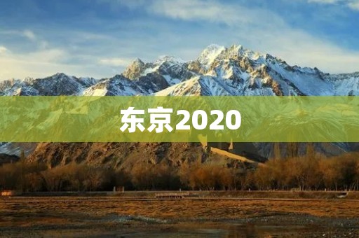 东京2020：**与挑战的奥运盛会