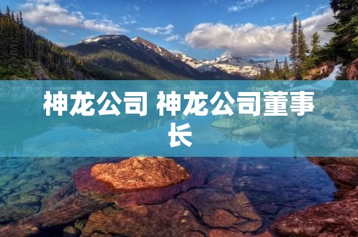 神龙公司 神龙公司董事长