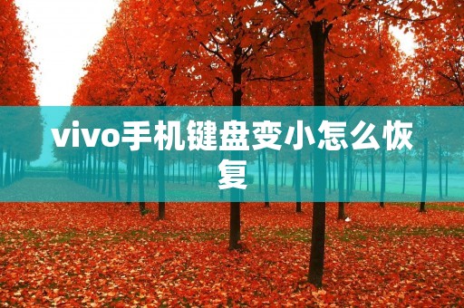 vivo手机键盘变小怎么恢复