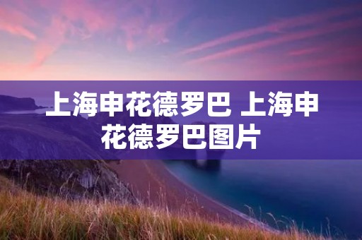 上海申花德罗巴 上海申花德罗巴图片