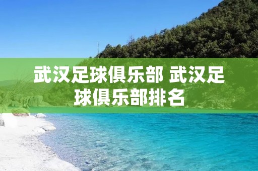 武汉足球俱乐部 武汉足球俱乐部排名 武汉足球俱乐部 武汉足球俱乐部排名