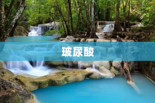 玻尿酸:解析这一神奇的美容成分