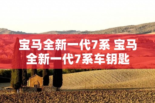 宝马全新一代7系 宝马全新一代7系车钥匙 宝马全新一代7系 宝马全新一代7系车钥匙