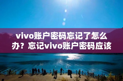 vivo账户密码忘记了怎么办?忘记vivo账户密码应该如何解决?