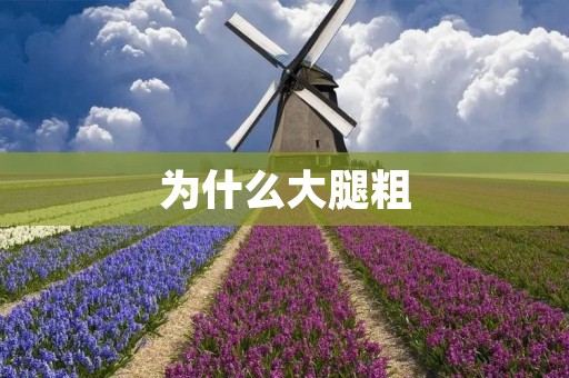 为什么大腿粗