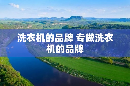 洗衣机的品牌 专做洗衣机的品牌