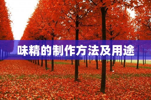 味精的制作方法及用途 味精的制作方法及用途