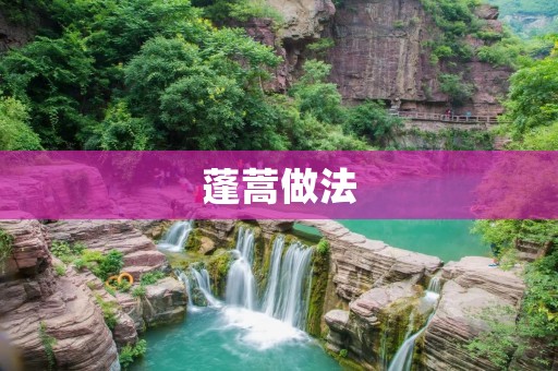 蓬蒿做法：清新美味的佳肴