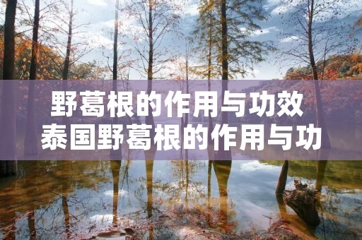 野葛根的作用与功效 泰国野葛根的作用与功效