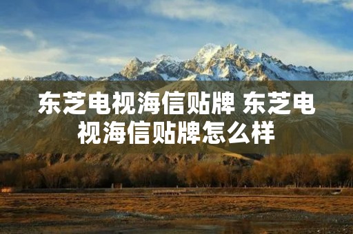 东芝电视海信贴牌 东芝电视海信贴牌怎么样