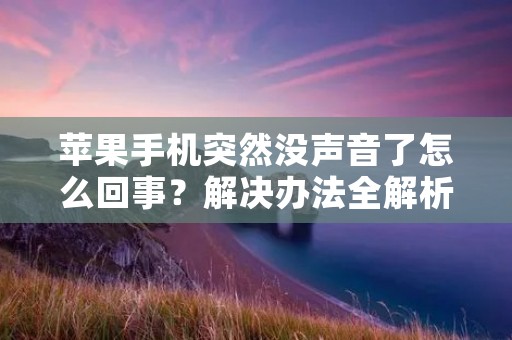 苹果手机突然没声音了怎么回事?解决办法全解析