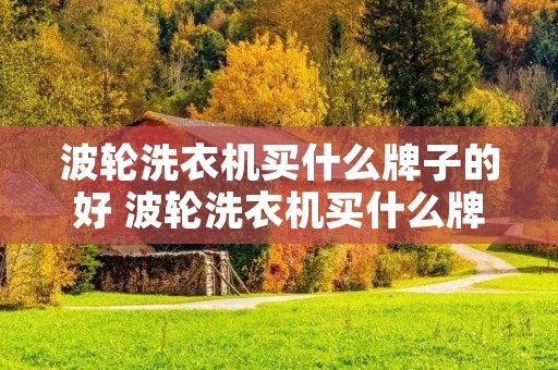 波轮洗衣机买什么牌子的好 波轮洗衣机买什么牌子的好用又实惠 波轮洗衣机买什么牌子的好 波轮洗衣机买什么牌子的好用又实惠