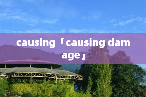 causing「causing damage」