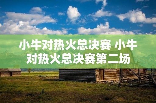小牛对热火总决赛 小牛对热火总决赛第二场