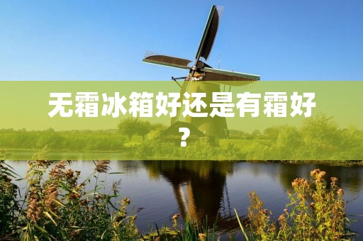 无霜冰箱好还是有霜好? 无霜冰箱好还是有霜好?