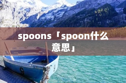 spoons「spoon什么意思」