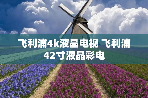 飞利浦4k液晶电视 飞利浦42寸液晶彩电 飞利浦4k液晶电视 飞利浦42寸液晶彩电