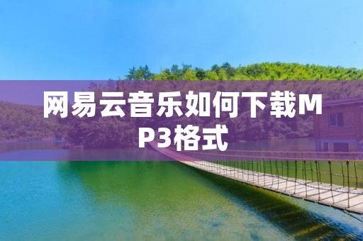 网易云音乐如何下载MP3格式