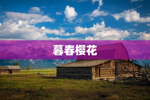 暮春樱花:绽放在时光里的美丽