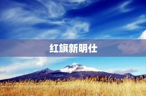 红旗新明仕：奢华与创新的完美结合