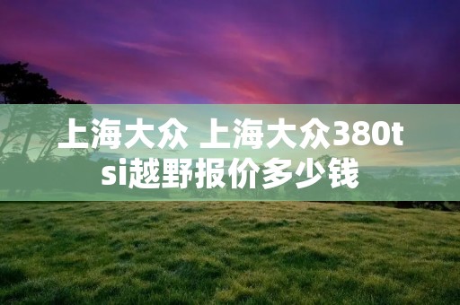 上海大众 上海大众380tsi越野报价多少钱 上海大众 上海大众380tsi越野报价多少钱