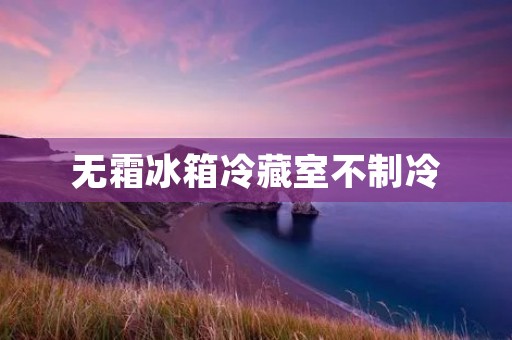 无霜冰箱冷藏室不制冷：原因和解决方法