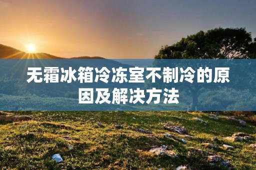 无霜冰箱冷冻室不制冷的原因及解决方法
