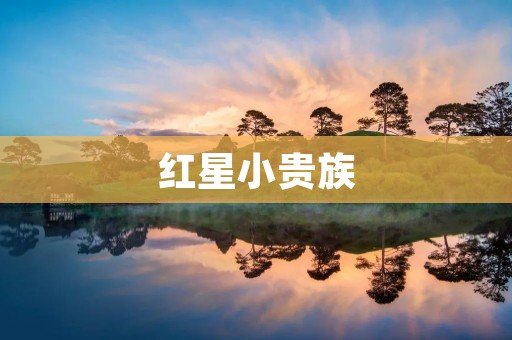 红星小贵族:街头时尚的代表 红星小贵族:街头时尚的代表