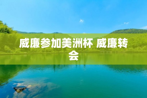 威廉参加美洲杯 威廉转会