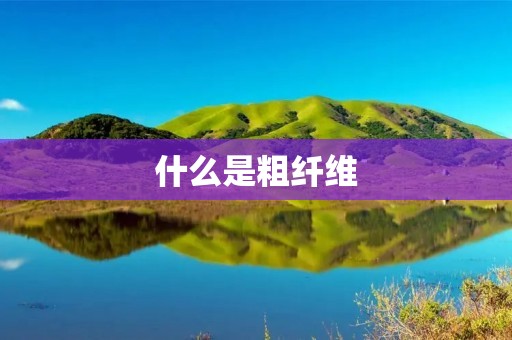 什么是粗纤维