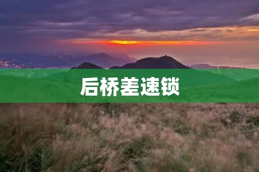 后桥差速锁:解密越野车的利器 后桥差速锁:解密越野车的利器
