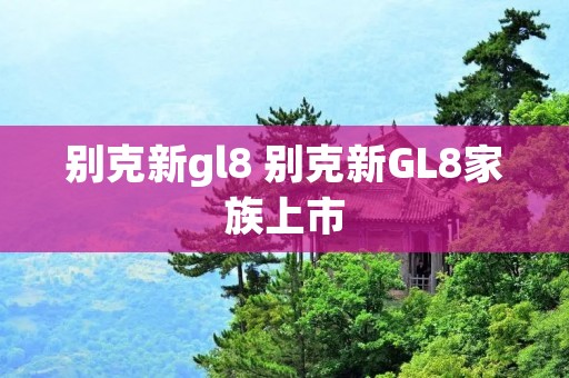 别克新gl8 别克新GL8家族上市