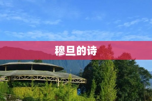 穆旦的诗:诗歌艺术的璀璨光辉
