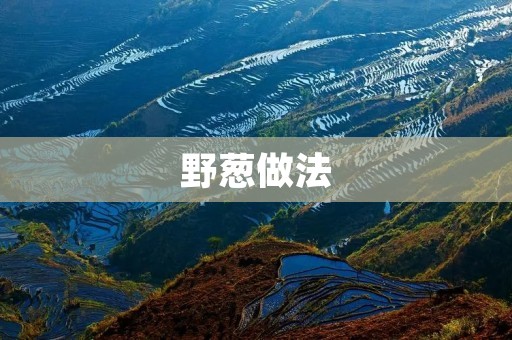 野葱做法:美味佳肴不容错过 野葱做法:美味佳肴不容错过