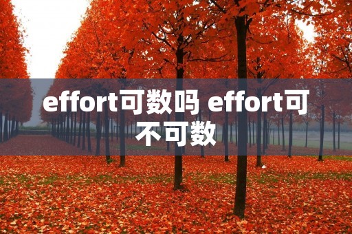 effort可数吗 effort可不可数