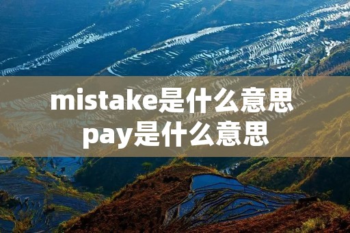 mistake是什么意思 pay是什么意思