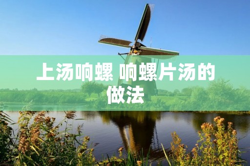 上汤响螺 响螺片汤的做法