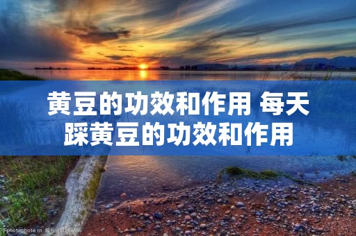 黄豆的功效和作用 每天踩黄豆的功效和作用
