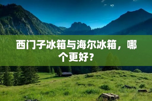 西门子冰箱与海尔冰箱，哪个更好？